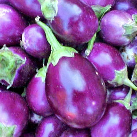 Brinjal - Round