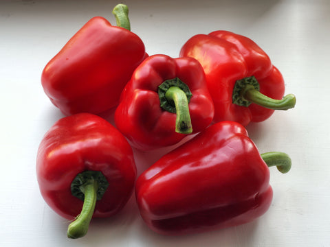Capsicum - Red