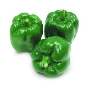 Capsicum Hybrid Green - Grade A