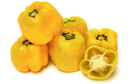 Capsicum - Yellow