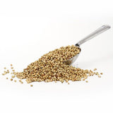 Coriander - Seeds, 200 gm Pouch