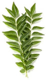 Curry Leaves - Grade A ,100 gm , 250 gm