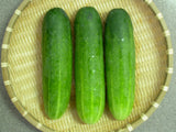 Cucumber (kheera)