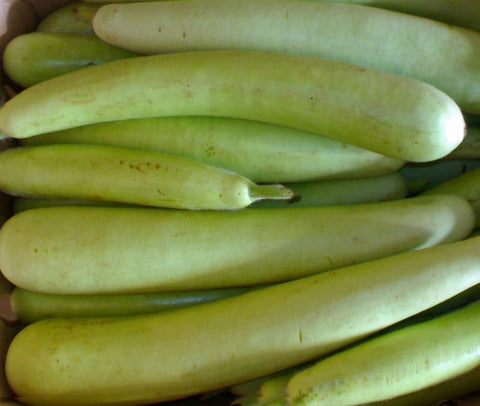 Bottle Gourd - (Big) Grade A