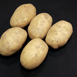 Potato