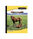 Classmate Note Book(King Size) - 180 Pages (24 x 18 cm)Single Line, 1 nos Carton