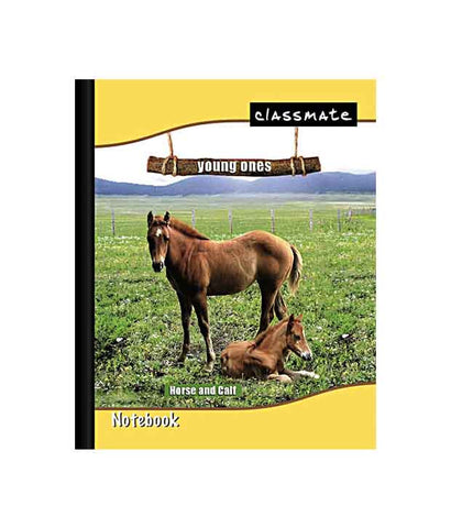 Classmate Note Book(King Size) - 180 Pages (24 x 18 cm)Single Line, 1 nos Carton