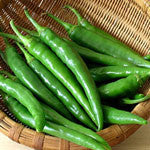 Chilli Green Big - Grade A