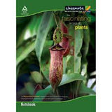 Classmate Note Book - 240 Pages (29.7 x 21 cm)Single Line, 1 nos Carton