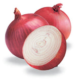 Onion - Medium